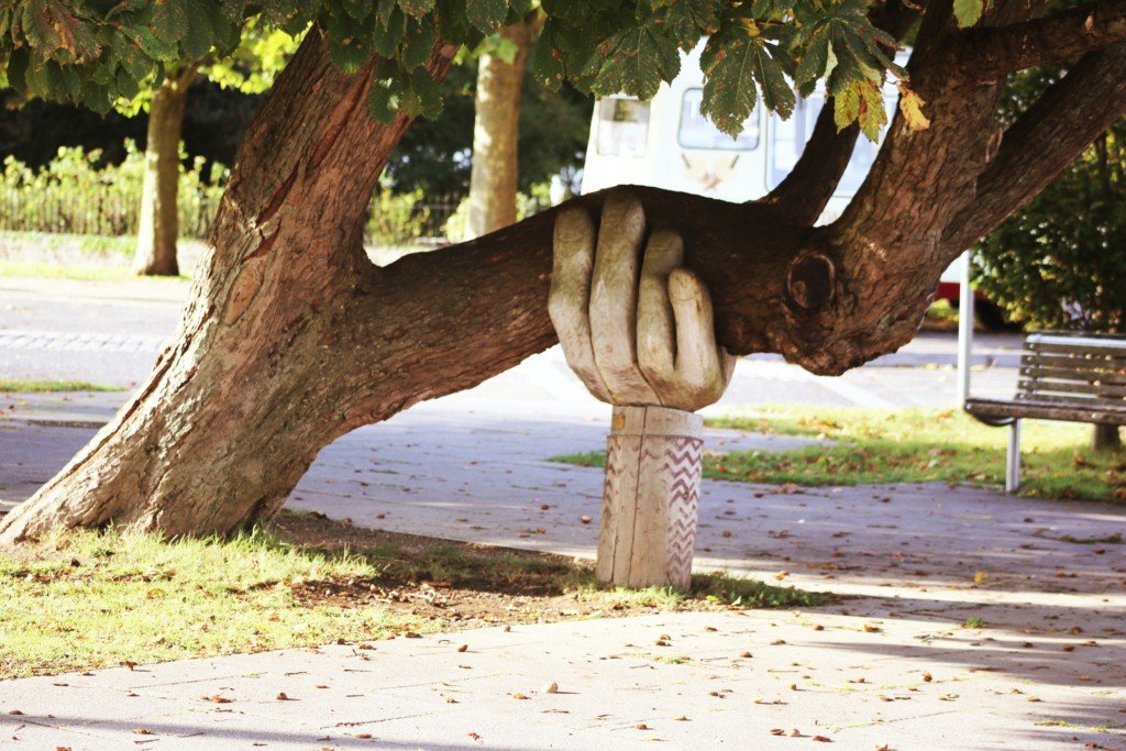 A sculpted hand supporting a tree branch (Photo by Neil Thomas on Unsplash)