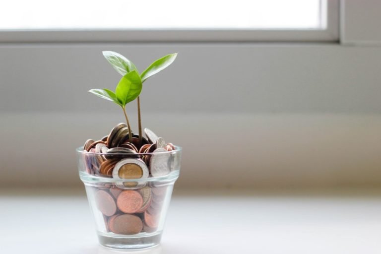Plant shoot from pot of coins (Photo by micheile on Unsplash)
